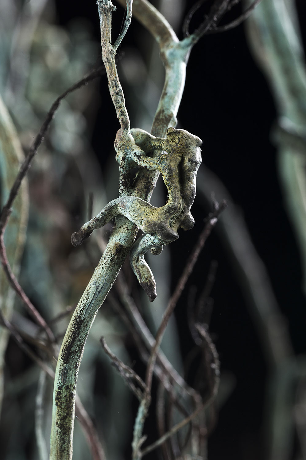 mythe nature plante bronze sculpture art écologie ronces arbre